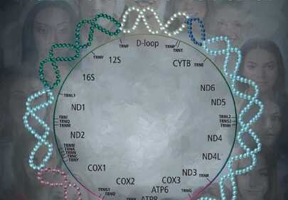 The Human Mitochondrial Genome: From Basic Biology to Disease – PDF