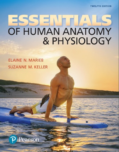 Essentials of Human Anatomy and Physiology (12th Edition) – eBook