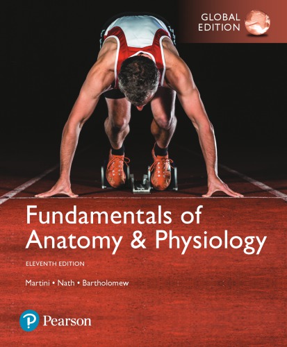 Fundamentals of Anatomy and Physiology (11th Global Edition) – eBook