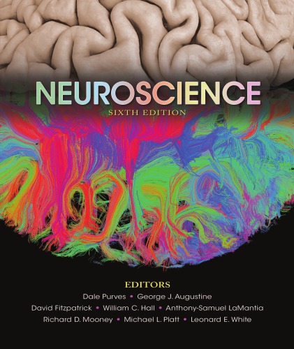 Neuroscience (6th Edition) – eBook