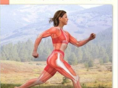 Therapeutic Kinesiology: Musculoskeletal Systems, Palpation, and Body Mechanics – PDF