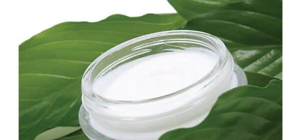 Cosmeceuticals and Active Cosmetics (3rd Edition) – PDF