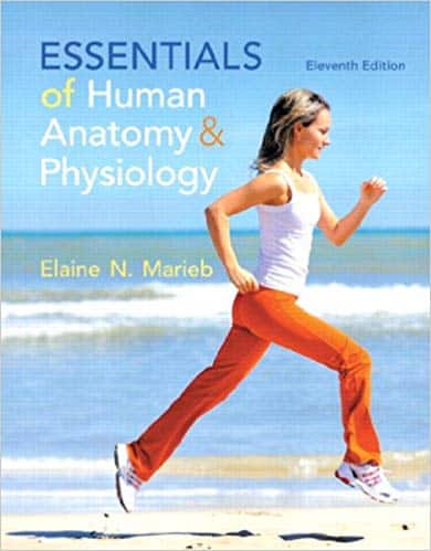 Essentials of Human Anatomy & Physiology (11th Edition) – eBook PDF