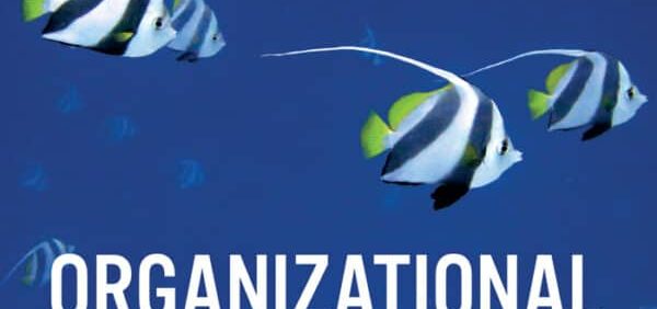 Organizational Behaviour (9th Edition) By David Buchanan – PDF