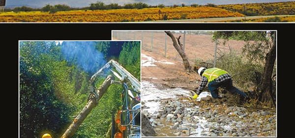 Principles of Stormwater Management – PDF