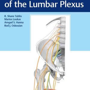 Surgical Anatomy of the Lumbar Plexus – PDF
