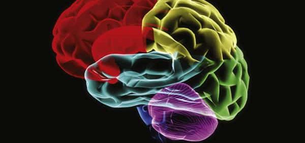 Behavioral Addictions: Criteria, Evidence, and Treatment – PDF