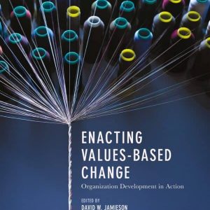 Enacting Values-Based Change: Organization Development in Action – PDF