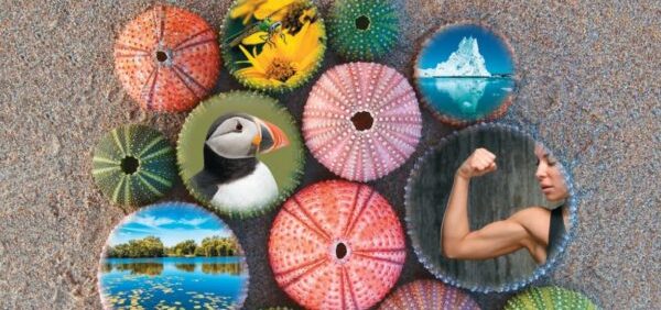 Biology: Science for Life (6th Edition) – PDF