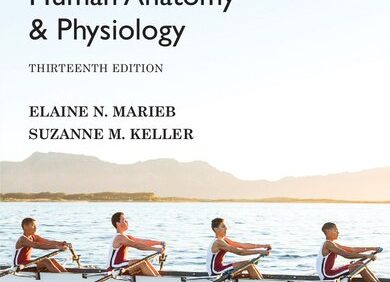 Essentials of Human Anatomy & Physiology (13th Edition) Global – PDF