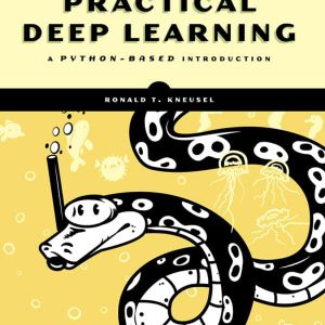 Practical Deep Learning: A Python-Based Introduction – PDF