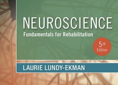 Neuroscience: Fundamentals for Rehabilitation (5th edition) – PDF
