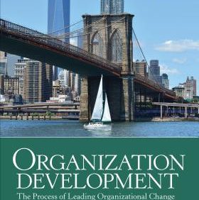 Organization Development: The Process of Leading Organizational Change (4th Edition) – PDF