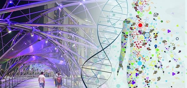 Sociology: A Biosocial Introduction (2nd Edition) – PDF