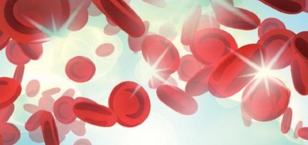 Phlebotomy: Worktext and Procedures Manual (4th Edition) – PDF