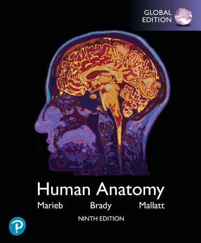 Human Anatomy (9th Global Edition) – Marieb/Mallatt/Brady – PDF