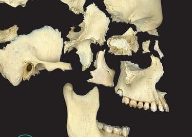 Principles of Human Anatomy (14th Edition) – PDF