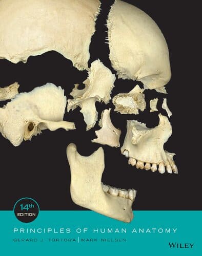Principles of Human Anatomy (14th Edition) – eBook PDF