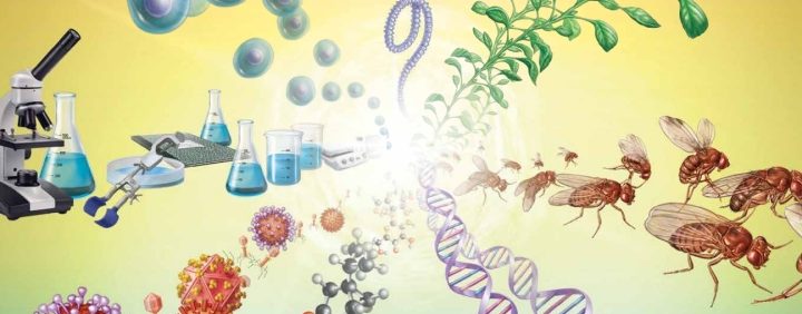 Exploring Biology in the Laboratory (3rd Edition) – PDF