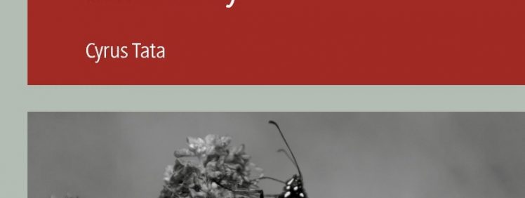 Sentencing: A Social Process: Re-thinking Research and Policy – PDF