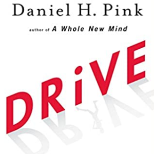 Drive: The Surprising Truth About What Motivates Us Daniel H. Pink, ISBN-13: 978-1594484803